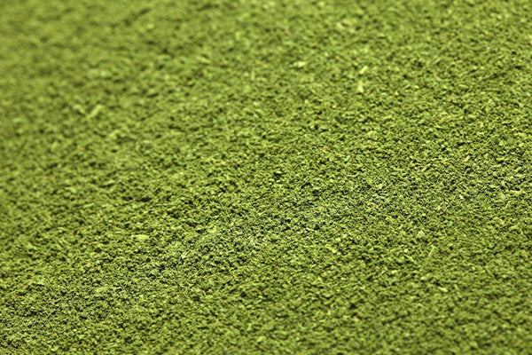 Raw Kale Powder made from Organic Kale